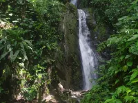 Cabinas Golfito Hotels in Golfito