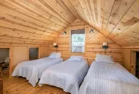Cozy 2-bedroom cabin in a lovely slice of heaven in Hesperus off Cherry Creek Rd