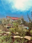 Pensiunea 4 Salcii Hotels in 
