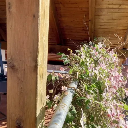 Stadtnah, Eigener Garten, Ruhig