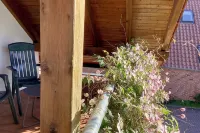 Stadtnah, Eigener Garten, Ruhig
