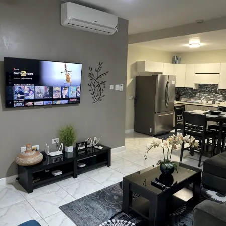 Modern Luxurious Kingston Apartment