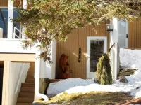Mad River Valley Condo with Gourmet Kitchen, 2 Bedrooms, comfortably sleeps 6 - 4성급