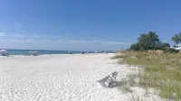 Sandy Cheeks & Barefeet, Gorgeous Interior Gulf Beach Place, Pool, on Beach Side - Beach