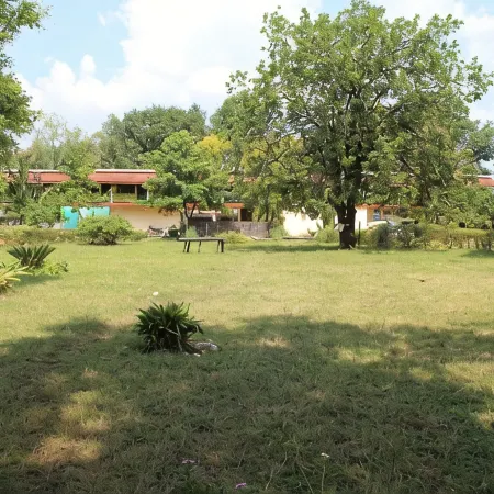 Tigers Villa Resort Bandhavgarh
