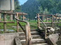 380 m² + Sauna + 6 Fitness Passes for Châtel + 15 Free Multipasses Hotels in Chatel