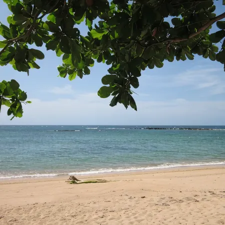 Villa Paraiso Luxurious Beach Front 5BR/6BA Villa @ Dorado Beach Ritz Reserve