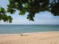 Villa Paraiso Luxurious Beach Front 5BR/6BA Villa @ Dorado Beach Ritz Reserve
