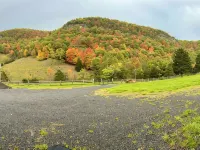 Charming cabin in Appalachian mountains of Cabins, WV with full amenities Hotels in Grant County