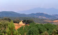 Farmhouse apartment between Siena and the sea relax pool WiFi 2 bedrooms 4-5p - WiFi