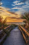 Coral Sands - Oceanfront Condo - Coastal Bliss - Balkoner