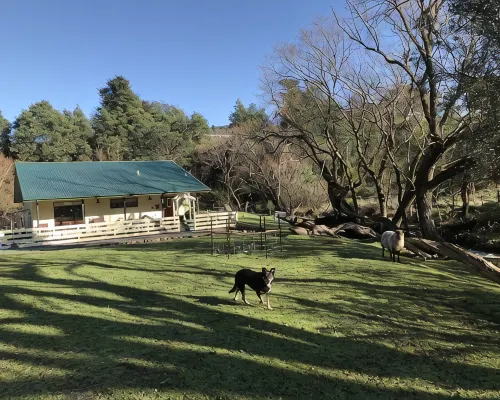 Kymmik Cottage - A slice of Tasmanian paradise Hotels in Geeveston