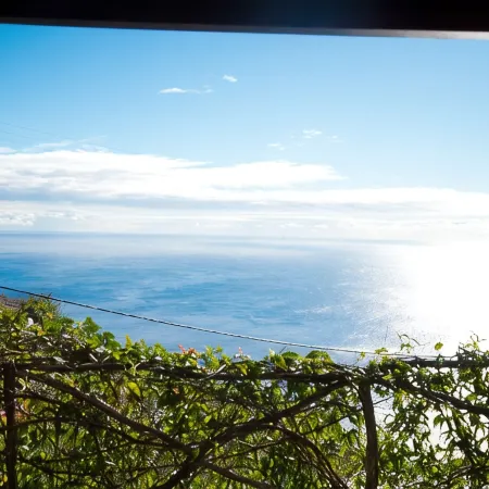 Manta House - Palheiro