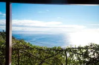Manta House - Palheiro - 3성급