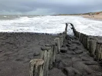 Bazien Luxe Kamer bij Strand en Kreek Natuur en Veel Faciliteiten - Wifi