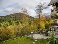 Hotel Boutique Belvedere Hotels near Peles Castle