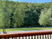 Spacious PA Wilds Getaway! Water views, firepit w/ covered patio - 3 étoiles