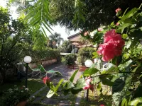 Acqua Chiara Elegant Villa with Garden with Etna View a Stone's Throw from the Sea -  Holiday Villas