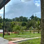 JUNGLE FARMS BY MAARK INN