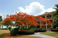 Gorgeous Beach front 2 bed 2.5 bath condo "Serenity by the Sea" - Homestays