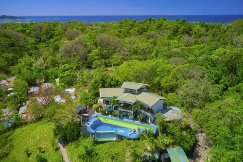 Jungles Edge Hotel, Jiu Jitsu, Muay Thai Retreat Center - Gym