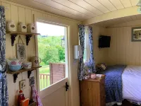 Lilly's Pad