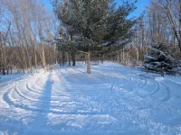 Ripley Lake cabin retreat - Chalets