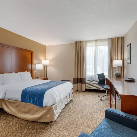 Comfort Inn Anderson South