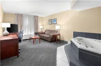 Comfort Inn University Area