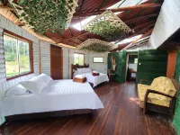 Room in Lodge - Tree House Finca la Floresta Verde - Phòng tập thể hình
