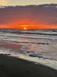 East Beach Cottage and Guest House - Beach