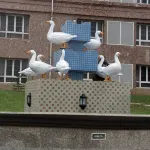 Conference Hotel