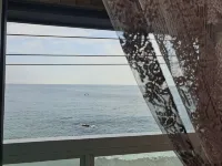 영덕 꿈꾸는 펜션 - 무료 와이파이