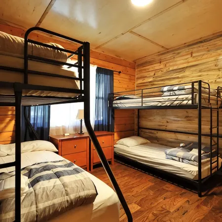 Old Mill Cabin #2 - on the Little MO River, Large Yard, Bunk Room!