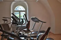 Chateau Herálec Boutique Hotel & Spa by l'Occitane - Gym