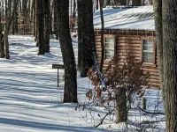 Cozy Amish Log Cabin, Near Caves, Grill, Fire Pit, DirecTV, High-Speed WiFi! - 2-Star