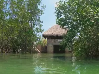 Shirubi Homestay & Guesthouse-Moalboal - Pensions