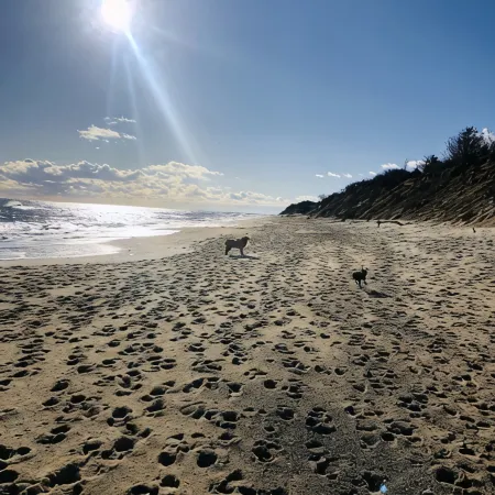 Sunset Views - Cape Cod Bay.