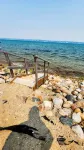 Cozy cabin on Little McDonald with amazing walk out beach! - Chalets