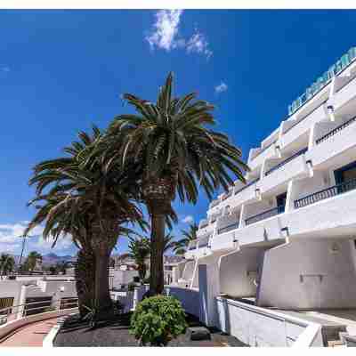 Bluesea Los Cocoteros Hotel Exterior