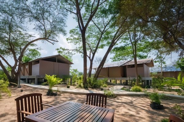 Elephant View Camp(เอเลเฟนท์ วิวแคมป์)_1