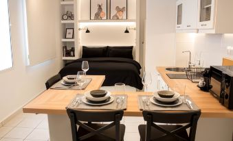 Super Stylish Apartments in Syntagma Square!