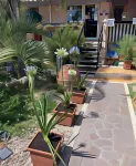 Il Giardino di Adriana Hôtels à : Terracina