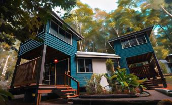 Ferntree Rainforest Lodge