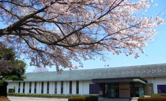 Nanpeidai Onsen Hotel