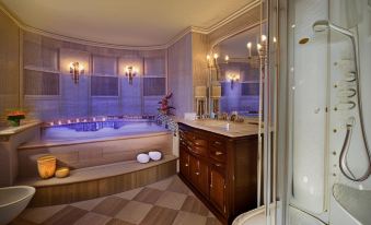 Sonesta Hotel Tower & Casino Cairo