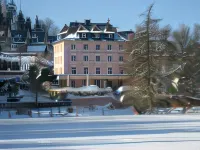 Hotel Goldner Anker Hotels in Bad Brambach