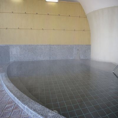 スパ・大浴場 つるつるの湯 下呂温泉 みのり荘の写真