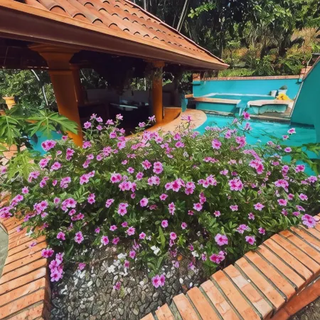 Siwõ Art Guesthouse