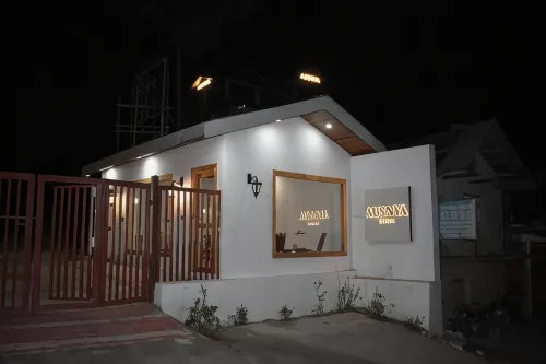 Ausnya Tirthan Hotels in Pekhri